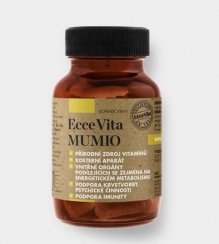 MUMIO - celková posila (imunita, metabolismus, duševní činnost, stav kloubů a kostí) - 60 kapslí (vegan)