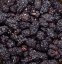 Květomluva Moruše černé, BIO, 350 g