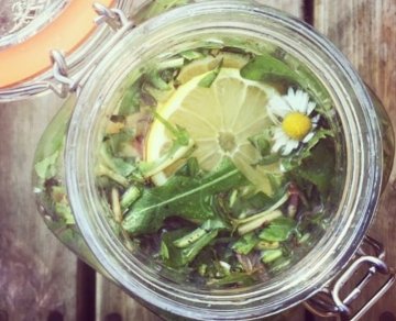 Limonáda ala plevel