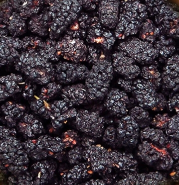 Květomluva Moruše černé, BIO, 350 g