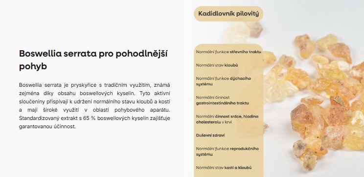 BrainMax Joint Support, podpora kloubů a kostí, 180 kapslí