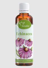 Serafin Echinacea – tinktura z bylin 50 ml