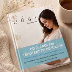 E-book Od plánování těhotenství po kojení