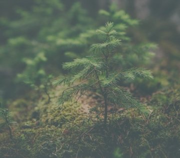 Eco-friendly: jak balíme naše balíčky