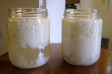 Mléčný kefír - fermentace a trable