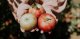 Fermentovaná jablečná přesnídávka pro děti: živá svačinka pro nejmenší