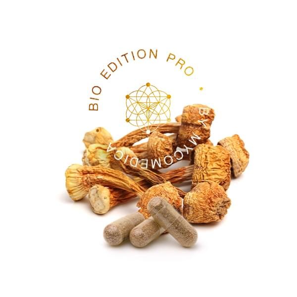 MycoMedica Agaricus PRO, BIO 90 kapslí