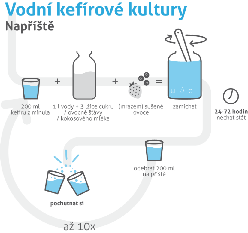 WUGI Vodní kefírové kultury na zkoušku