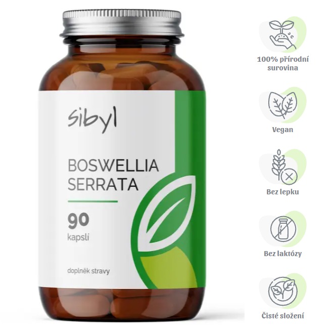 SIBYL Boswellia serrata 90 kapslí