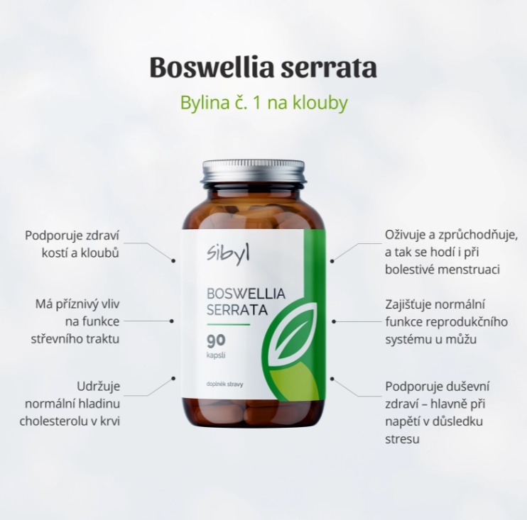 SIBYL Boswellia serrata 90 kapslí