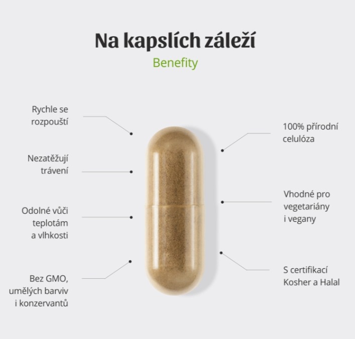 SIBYL Boswellia serrata 90 kapslí