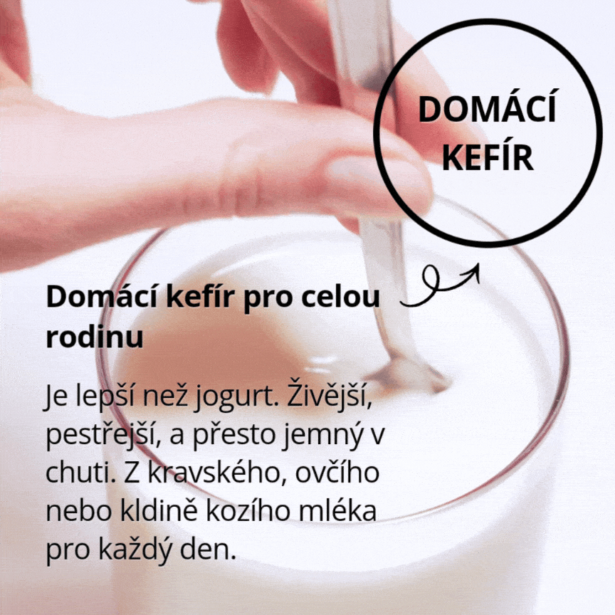 Domácí mléčný kefír - fermentovaný živý nápoj pro celou rodinu www.wugi.cz
