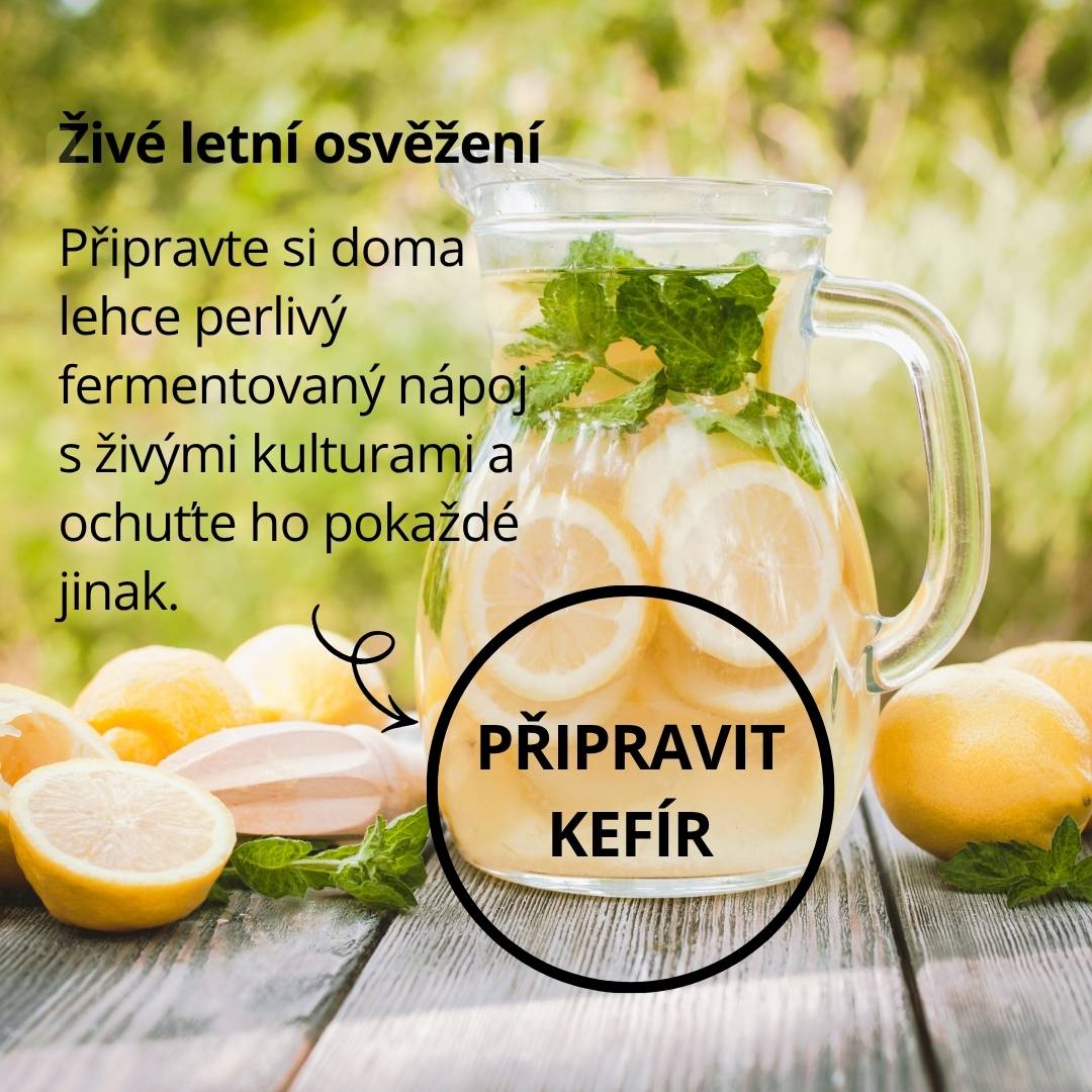 Připravte si živý fermentovaný nápoj vodní kefír wugi
